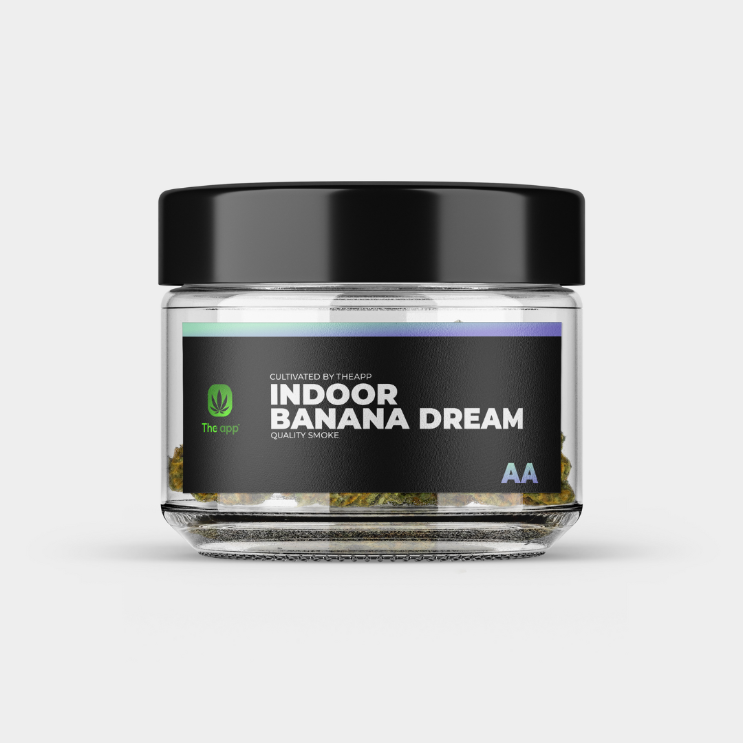 Banana Dream - AA