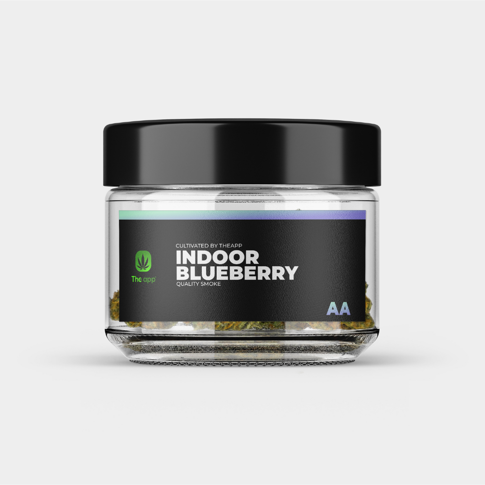 Blueberry - AA Indoor