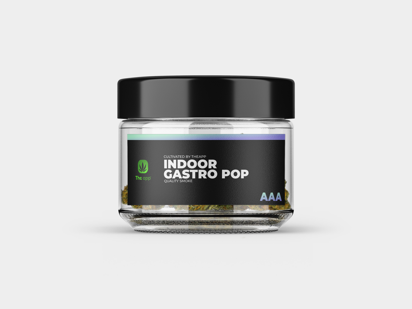 Gastro Pop - AAA Indoor