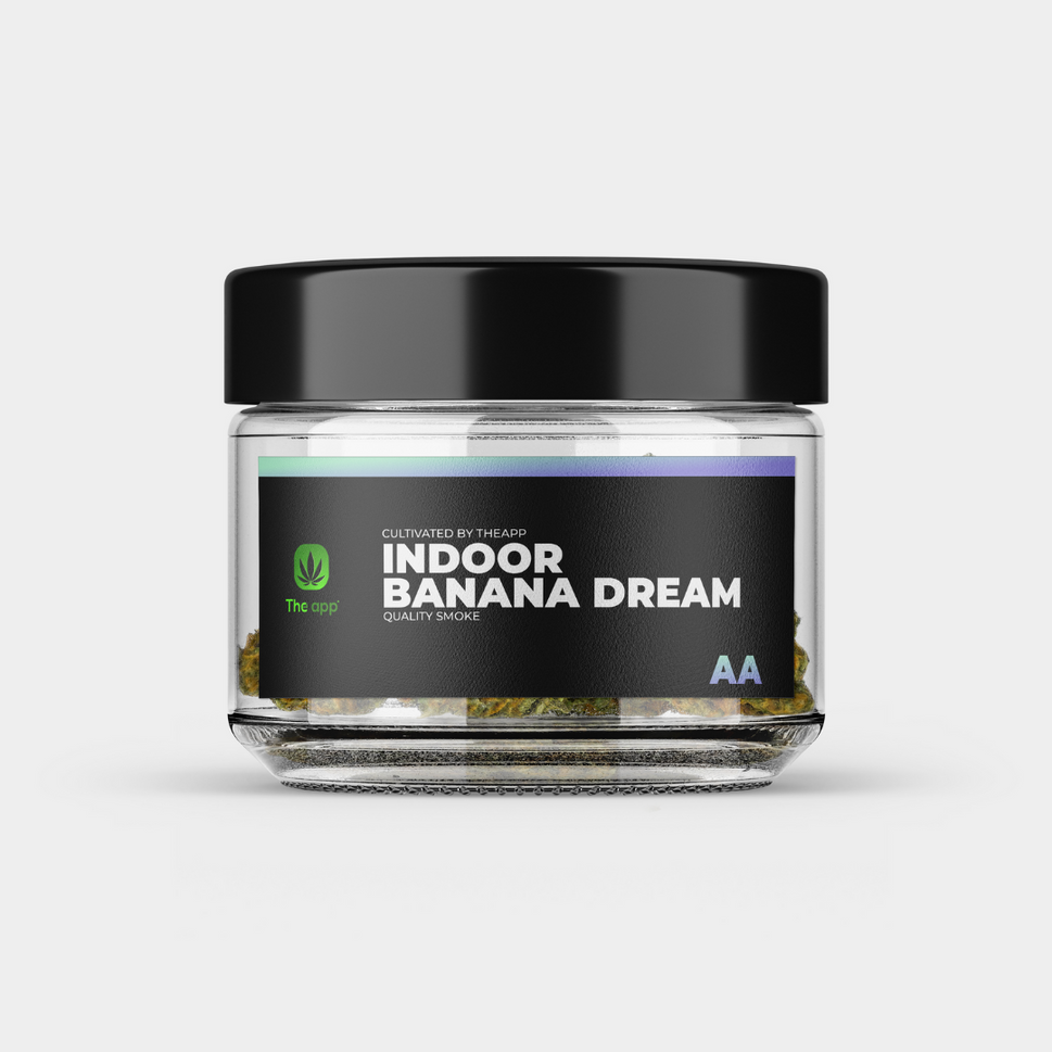 Banana Dream - AA