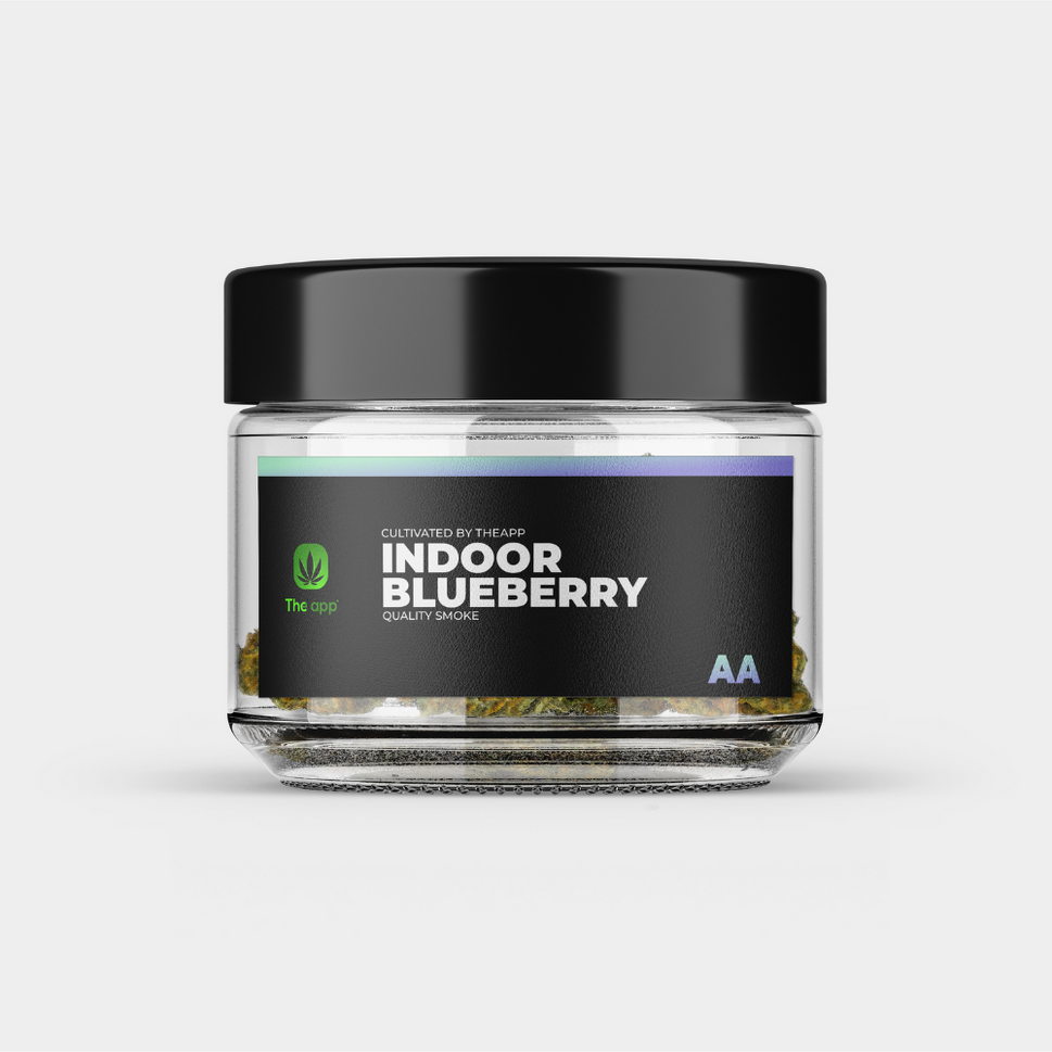 Blueberry - AA Indoor