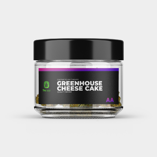 Cheese Cake - AA Greenhouse