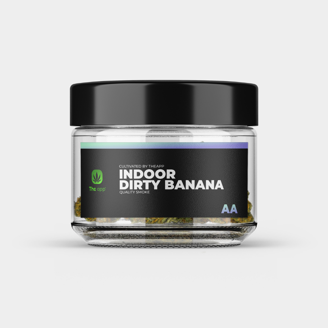 Dirty Banana - AA Indoor