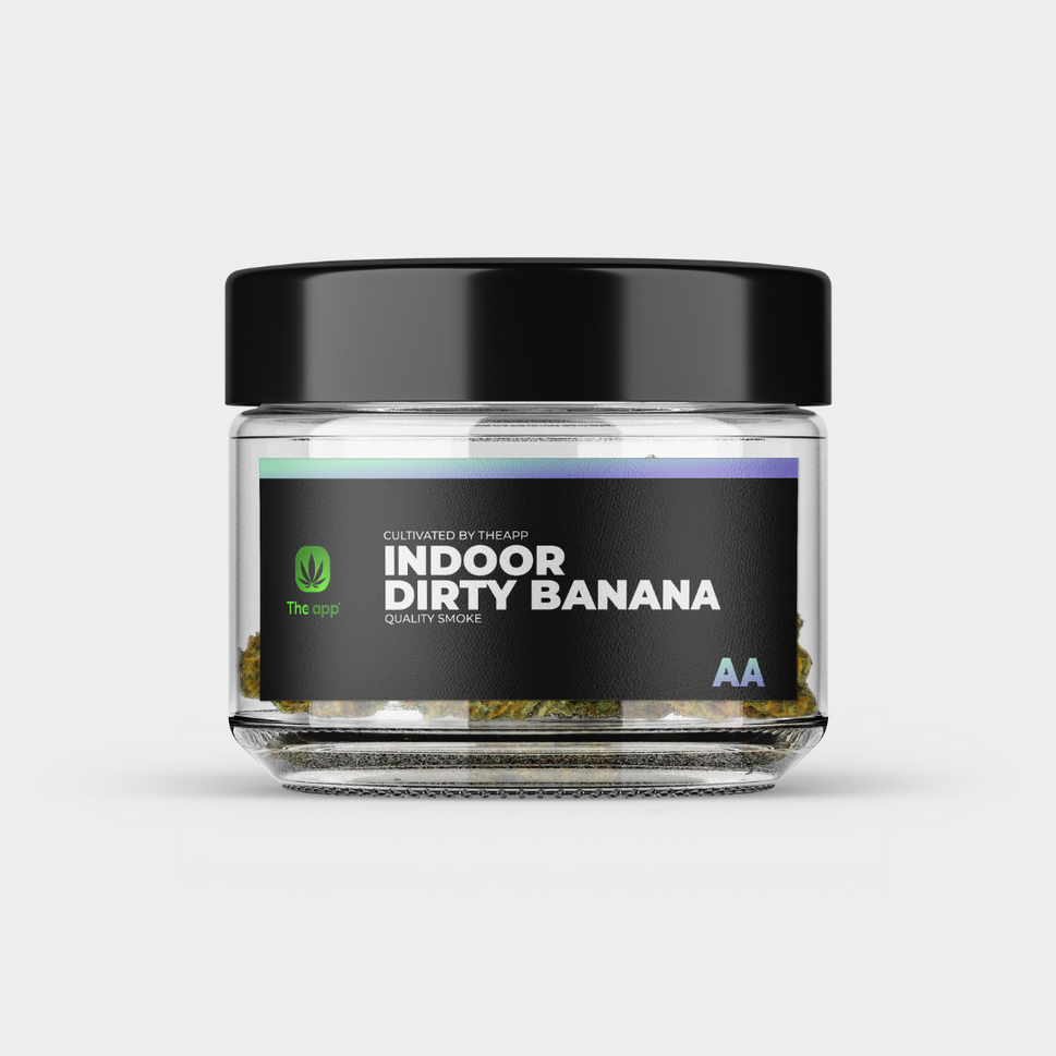 Dirty Banana - AA Indoor