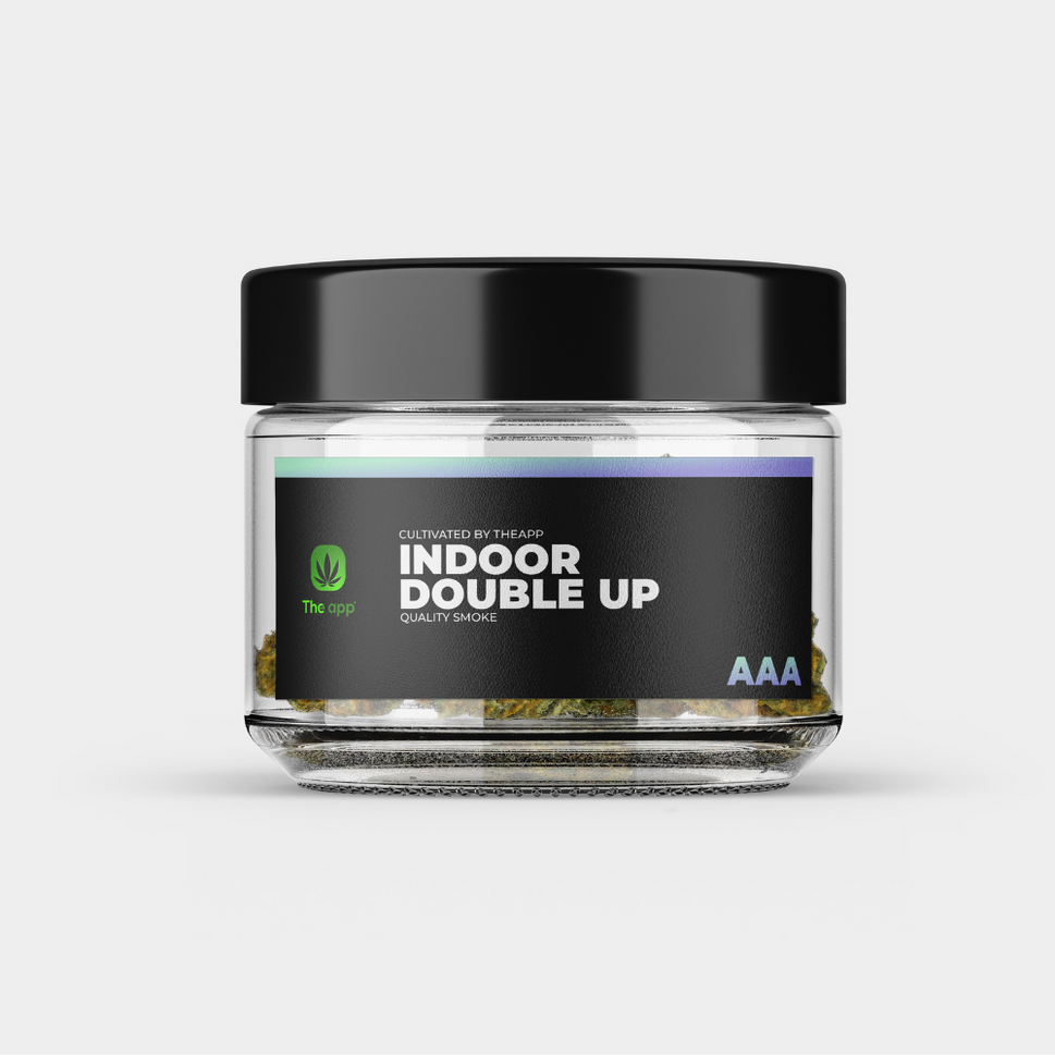 Double Up Mints - AAA Indoor