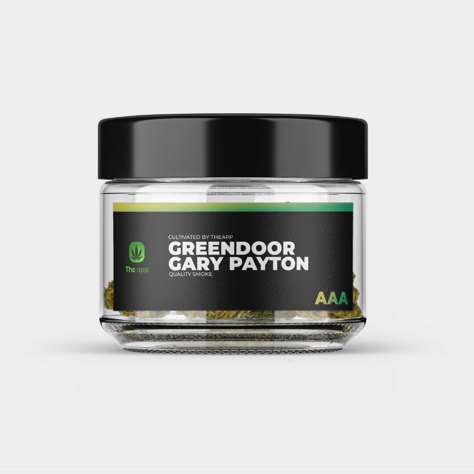 Gary Payton - AAA Greendoor