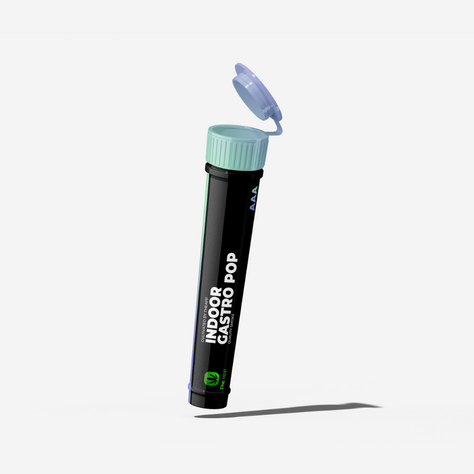 Gastro Pop - AAA Indoor [Pre-Rolled]