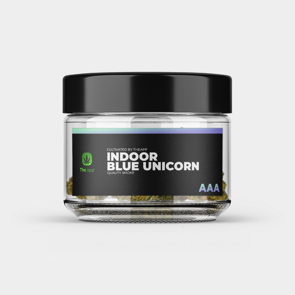Blue Unicorn - AAA Indoor