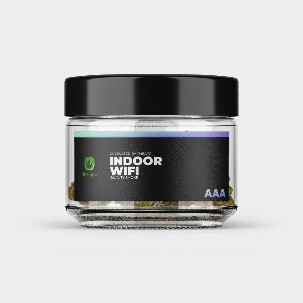 Wifi - AAA Indoor