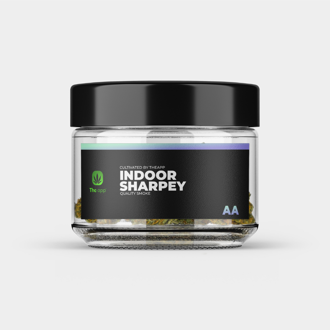 Sharpey - AA Indoor
