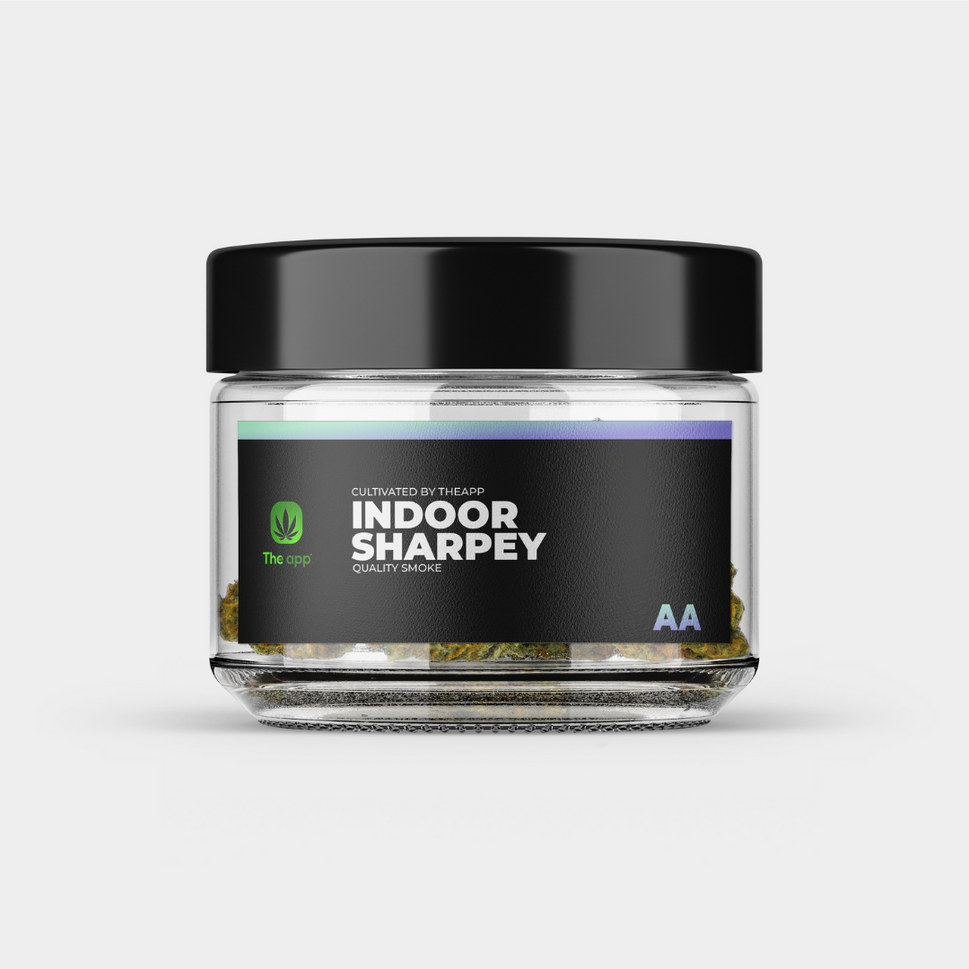 Sharpey - AA Indoor