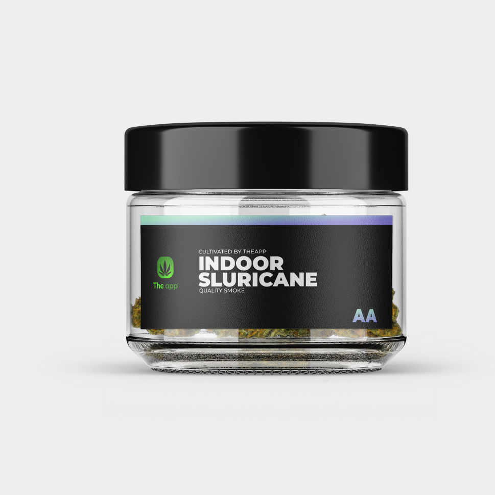 Slurricane - AA Indoor