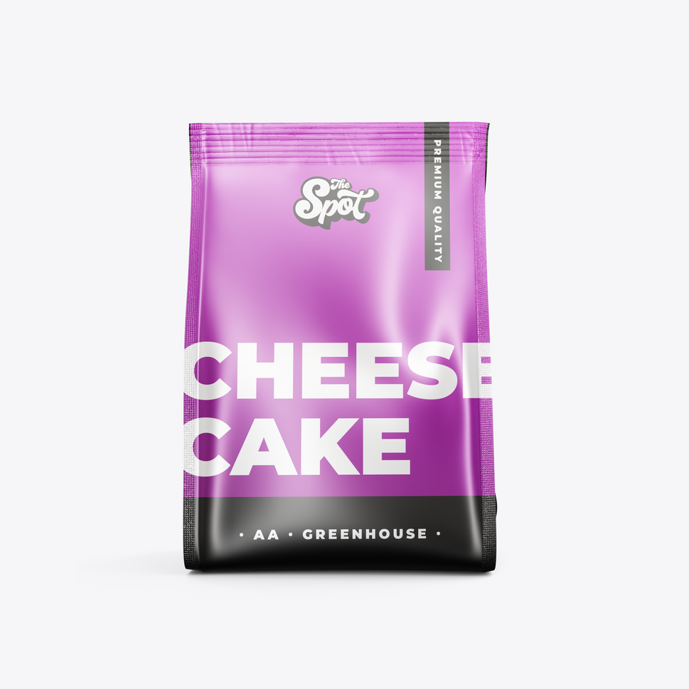 Cheese Cake