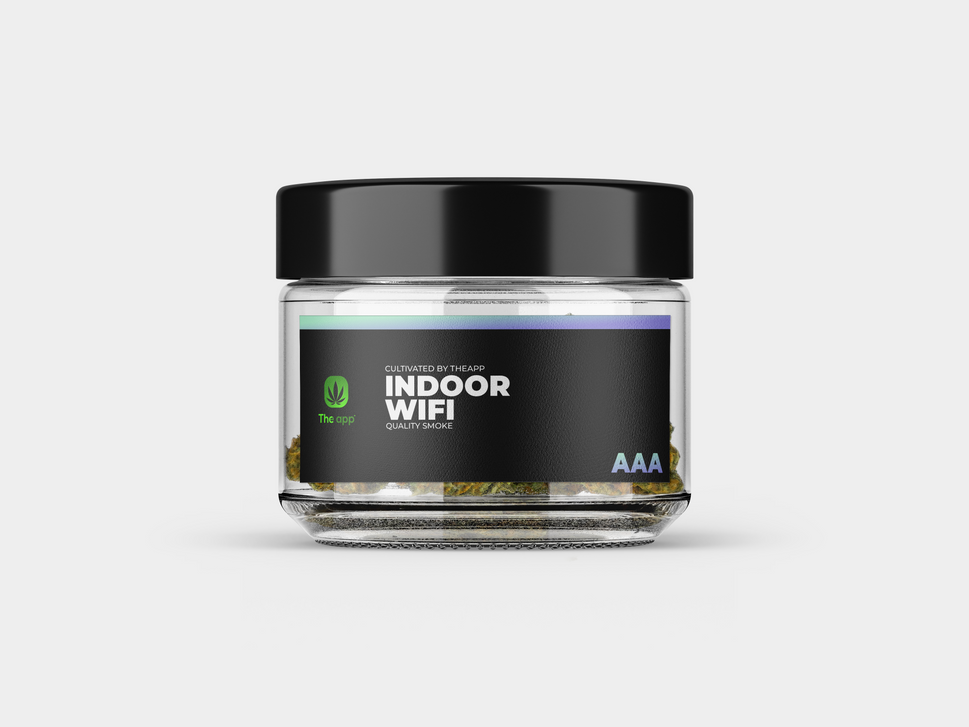 Wifi - AAA Indoor