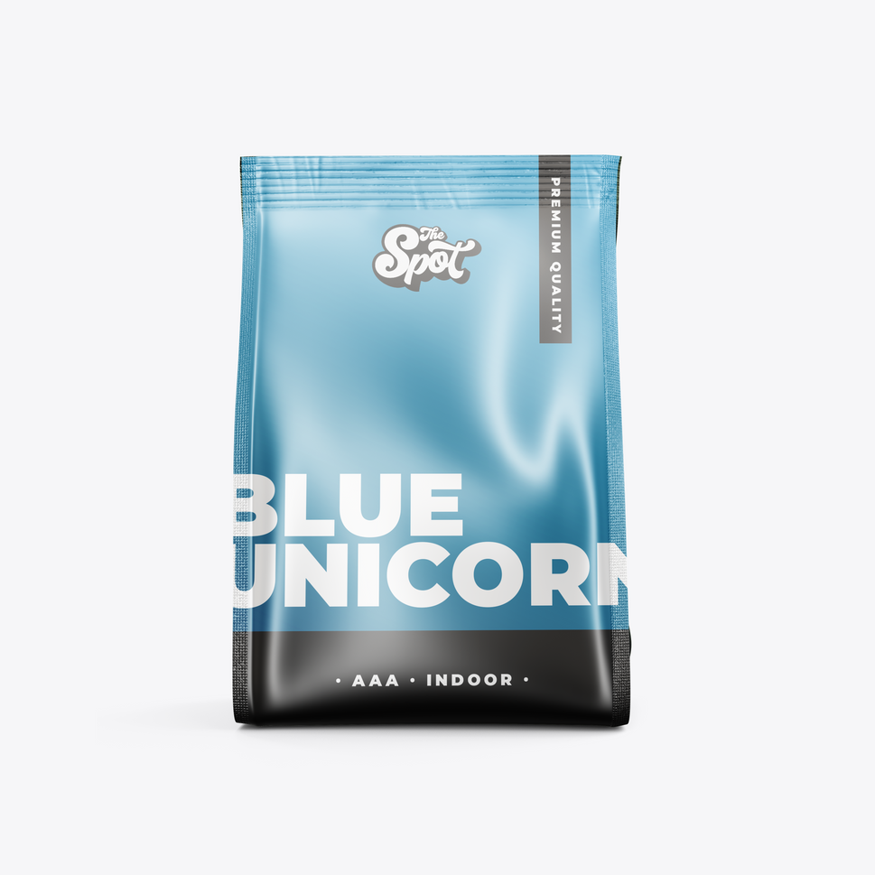 Blue Unicorn