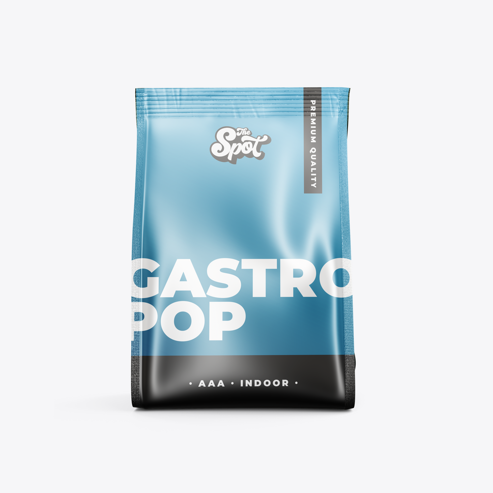 Gastro Pop